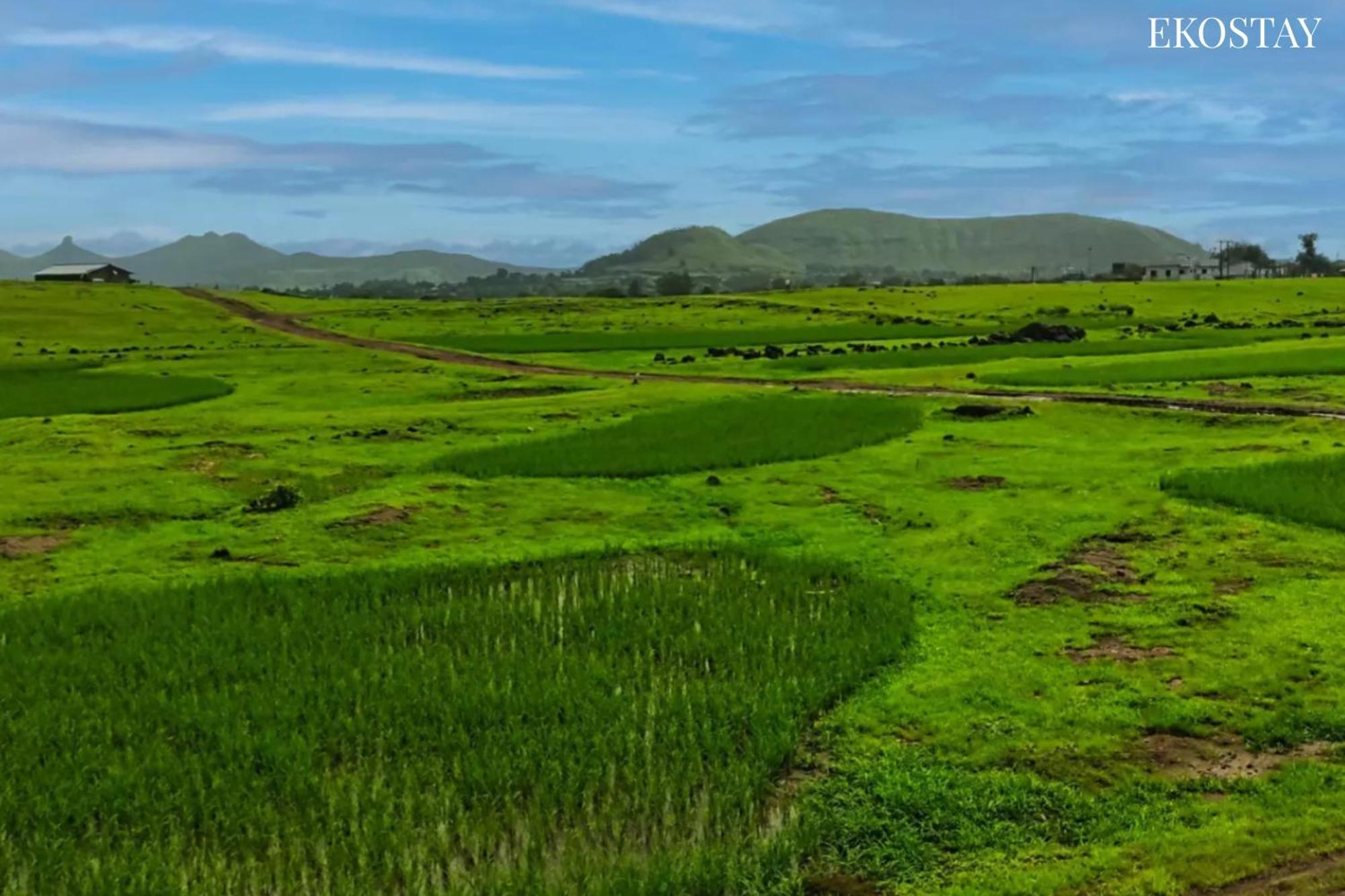 Ekostay - Neptune Villa Igatpuri Exteriér fotografie
