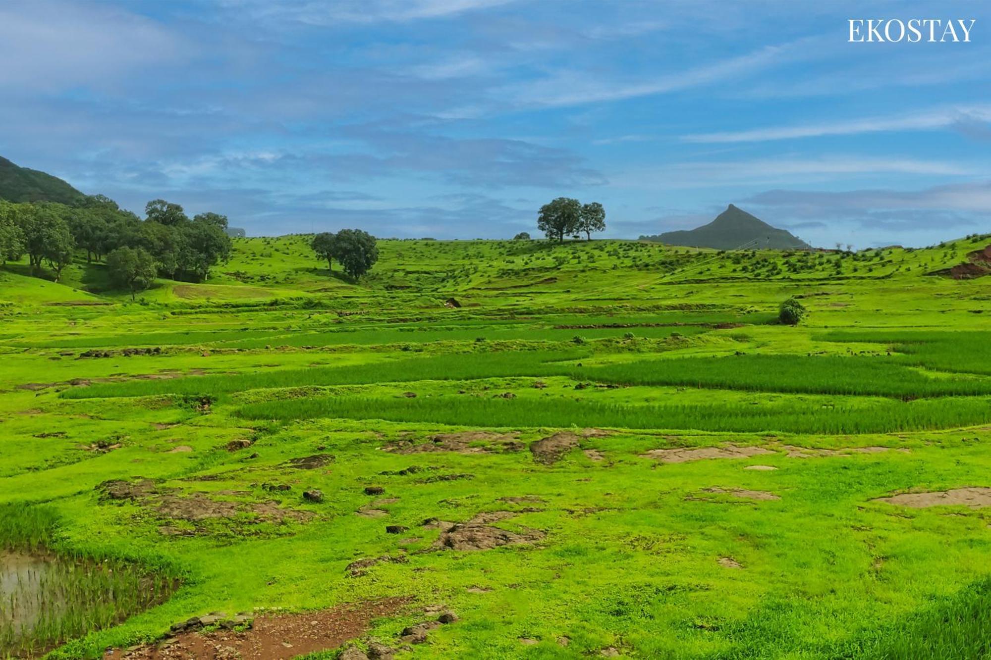 Ekostay - Neptune Villa Igatpuri Exteriér fotografie